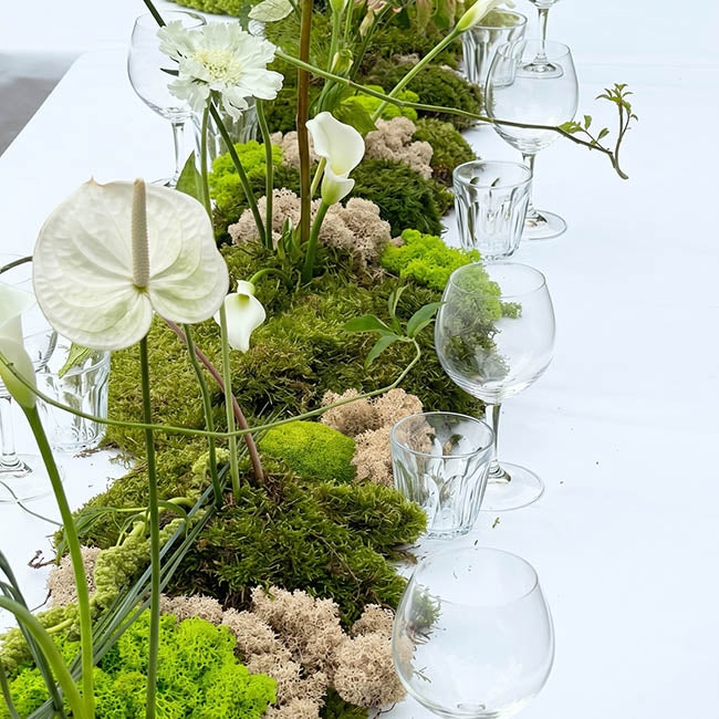 Premium Preserved Forest Mixed Moss Green (29x19cmH)