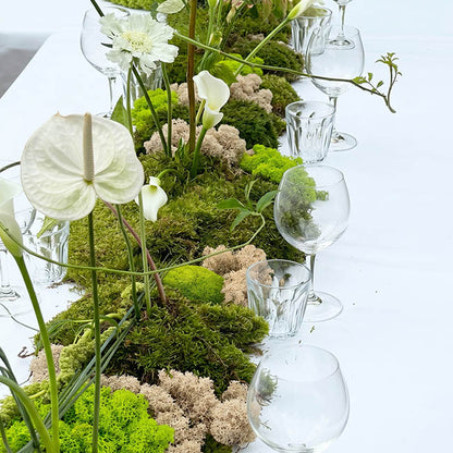 Premium Preserved Forest Mixed Moss Green (29x19cmH)
