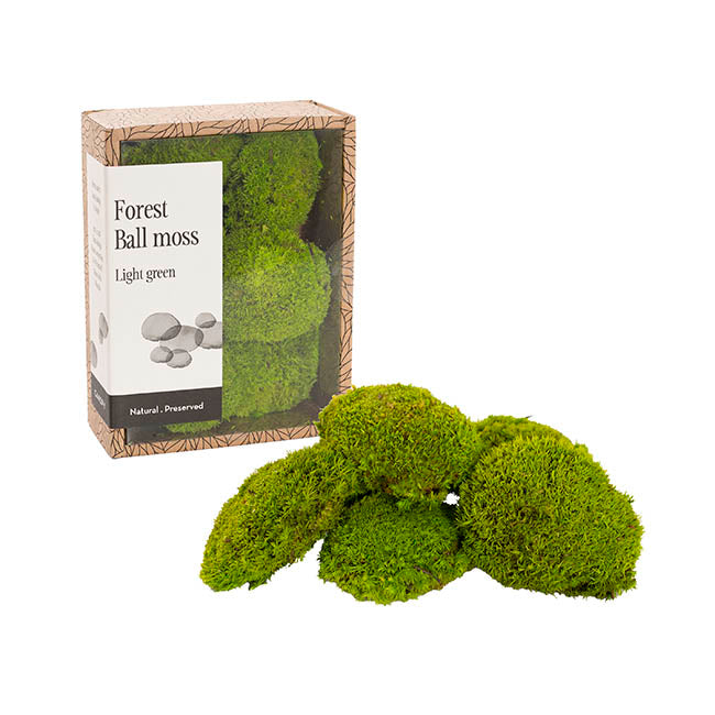 Premium Preserved Mini Moss Balls Light Green (19x14.5cm)