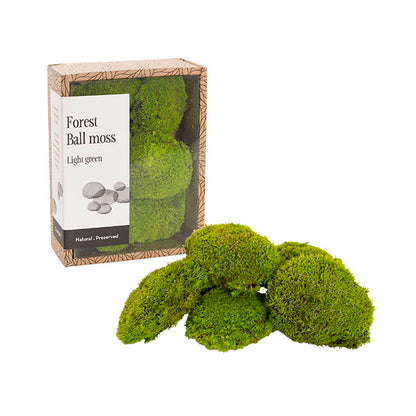 Premium Preserved Mini Moss Balls Light Green (19x14.5cm)