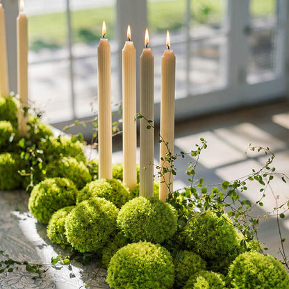 Premium Preserved Mini Moss Balls Light Green (19x14.5cm)
