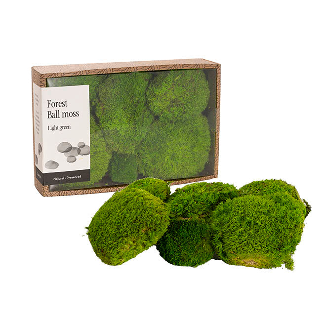 Premium Preserved Forest Moss Balls Light Green (29x19cm)