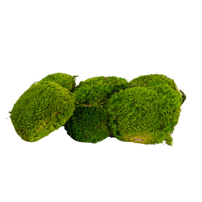 Premium Preserved Forest Moss Balls Light Green (29x19cm)