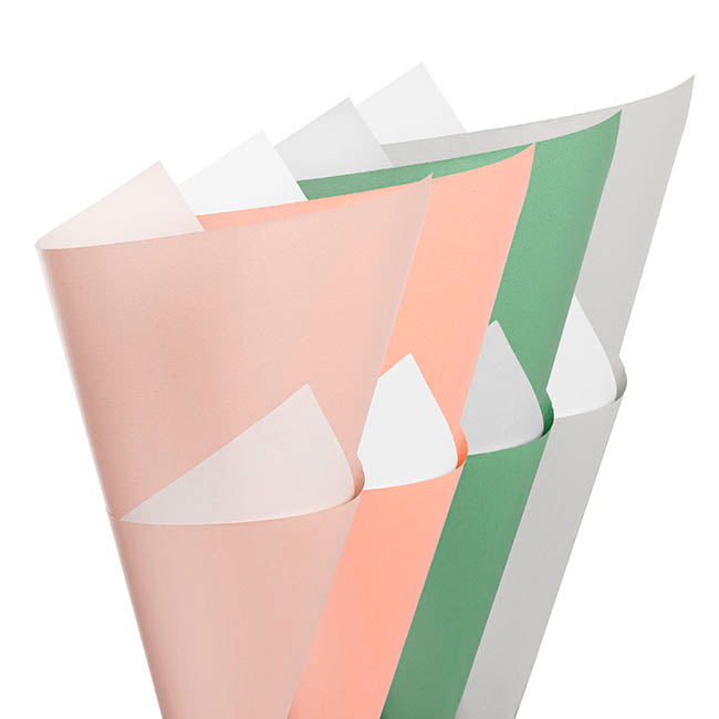 Kraft Paper Duet 80gsm Sampler Pack 100 (50x70cm)