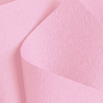 Embossed Paper 60gsm Luxe Ballet Slipper Pk50 (54x76cm)