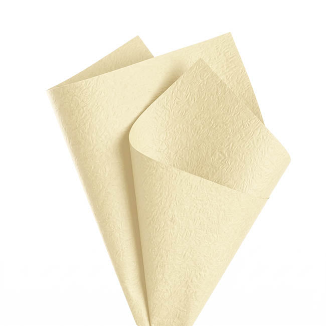 Embossed Paper 60gsm Luxe Vanilla Creme Pk50 (54x76cm)