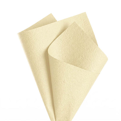 Embossed Paper 60gsm Luxe Vanilla Creme Pk50 (54x76cm)