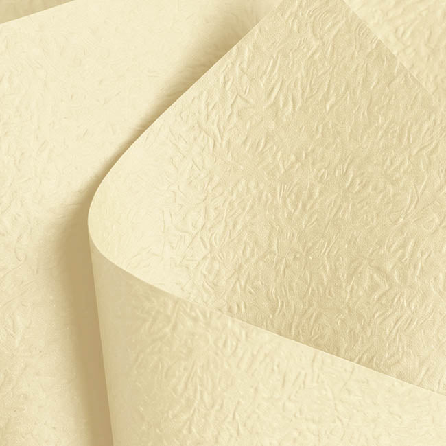 Embossed Paper 60gsm Luxe Vanilla Creme Pk50 (54x76cm)
