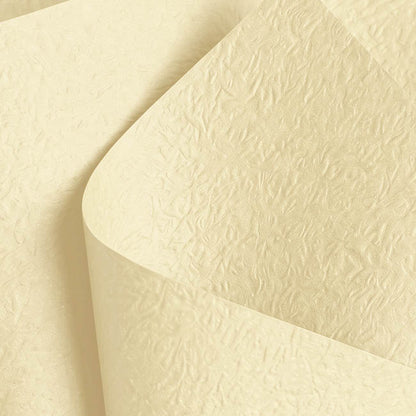 Embossed Paper 60gsm Luxe Vanilla Creme Pk50 (54x76cm)