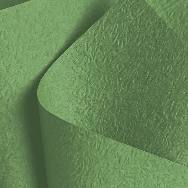Embossed Paper 60gsm Luxe Woodland Green Pk50 (54x76cm)