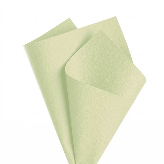 Embossed Paper 60gsm Luxe Apple Mist Pk50 (54x76cm)