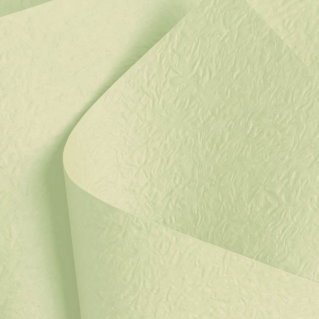 Embossed Paper 60gsm Luxe Apple Mist Pk50 (54x76cm)