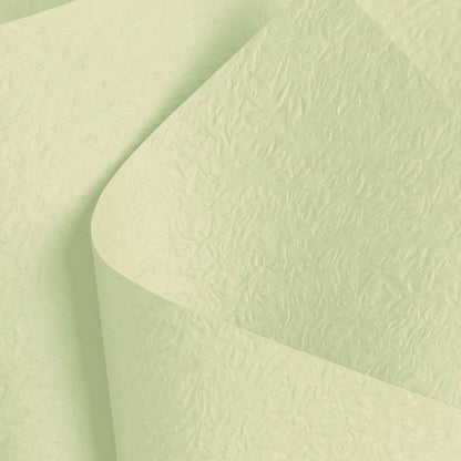 Embossed Paper 60gsm Luxe Apple Mist Pk50 (54x76cm)