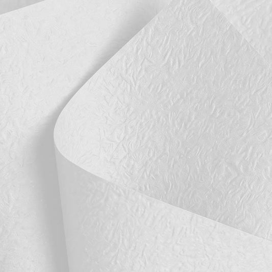 Embossed Paper 60gsm Luxe Whisper White Pk50 (54x76cm)