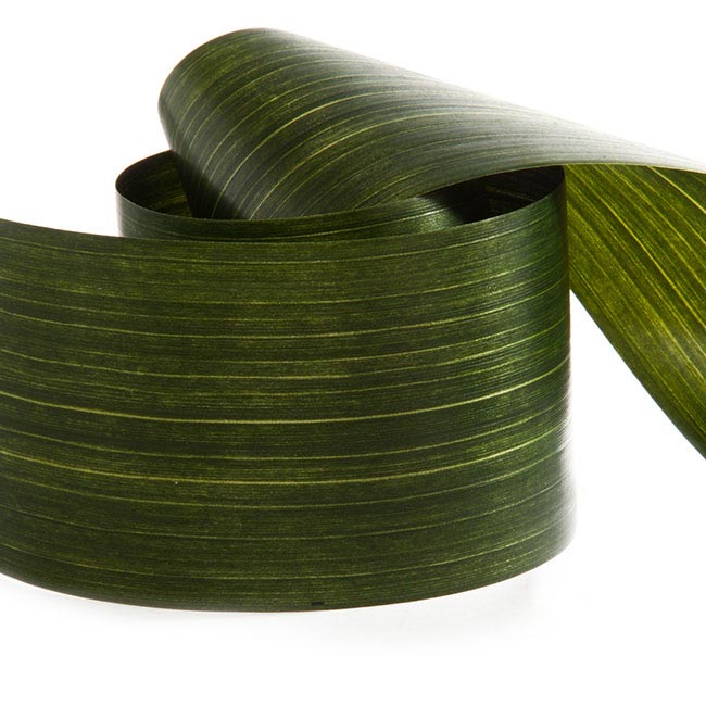 Ribbon Tear Aspidistra Leaf Green (10cmx50m)