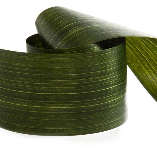 Ribbon Tear Aspidistra Leaf Green (10cmx50m)