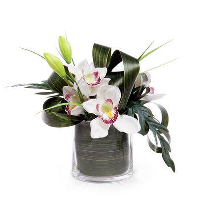 Ribbon Tear Aspidistra Leaf Green (10cmx50m)