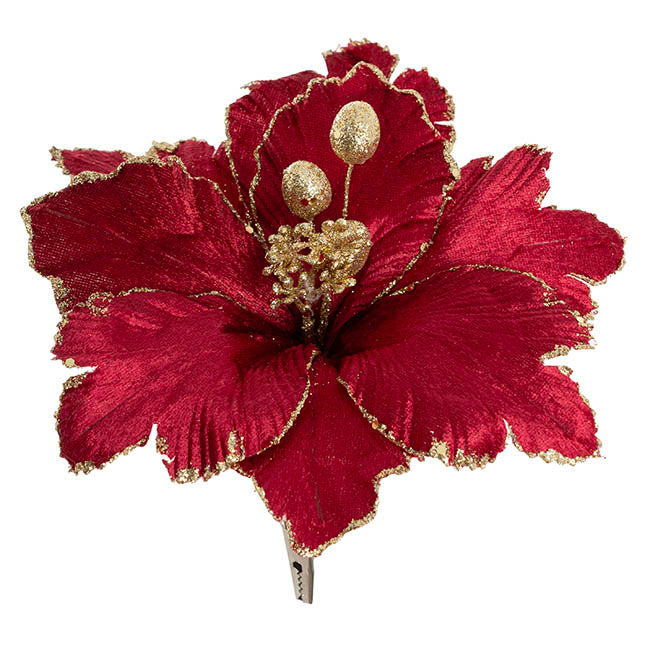 Poinsettia w Clip Pack 3 Burgundy (24cmDx10cmH)