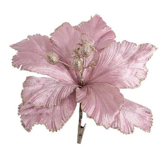 Poinsettia w Clip Pack 3 Pink (24cmDx10cmH)