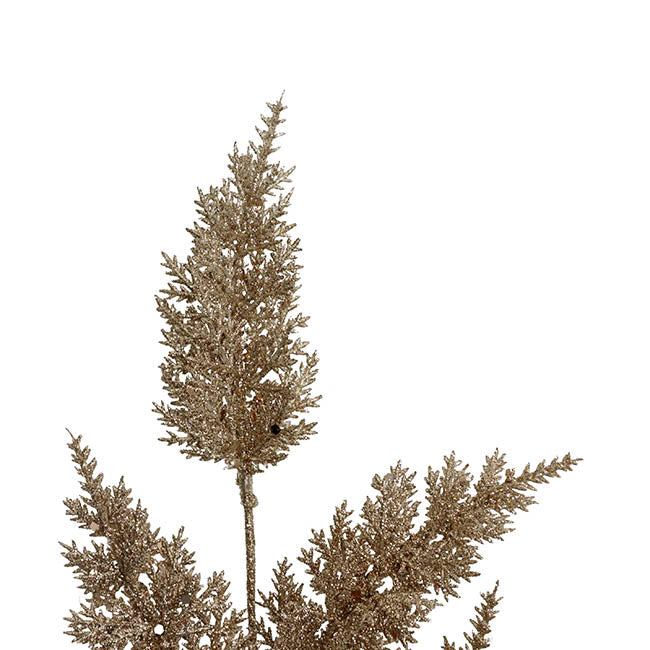 Glitter Thistle Spray Champagne (68cmH)