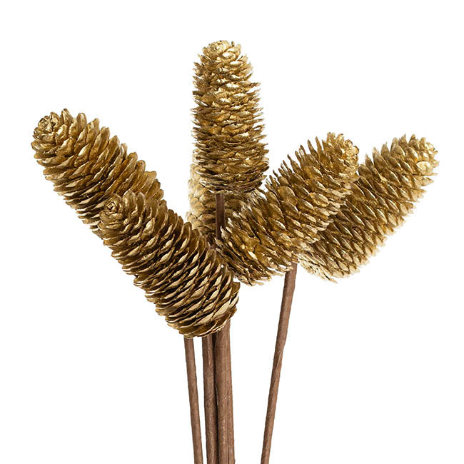Artificial Pinecone Pick Bunch 6 Gold (40cmH)