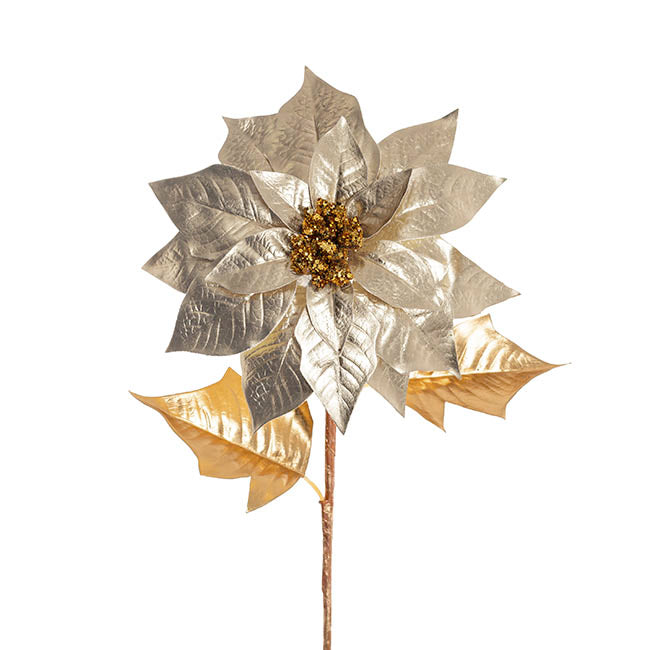 Poinsettia Stem Champagne (24cmDx66cmH)