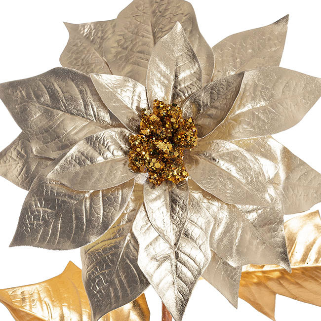 Poinsettia Stem Champagne (24cmDx66cmH)