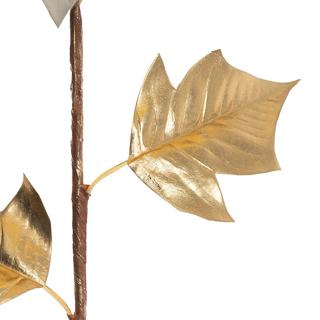 Poinsettia Stem Champagne (24cmDx66cmH)