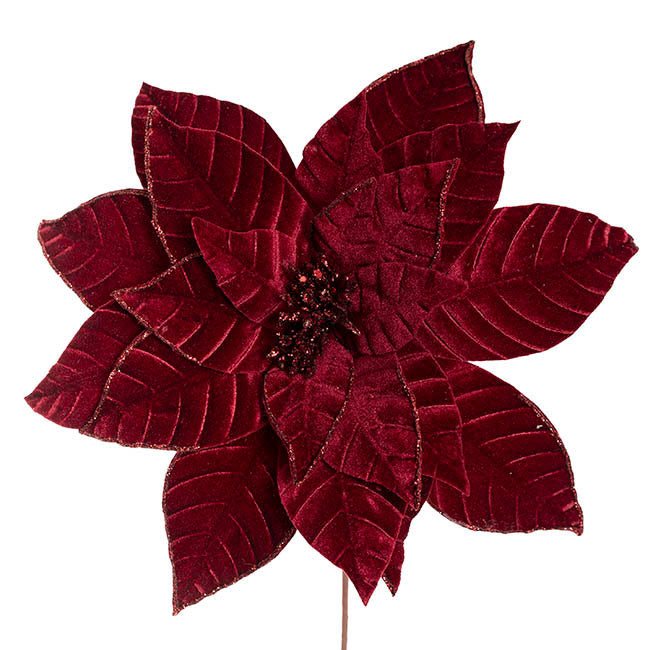 Velvet Poinsettia Stem Burgundy (34cmDx50cmH)