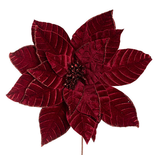 Velvet Poinsettia Stem Burgundy (34cmDx50cmH)