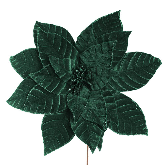 Velvet Poinsettia Stem Hunter Green (34cmDx50cmH)