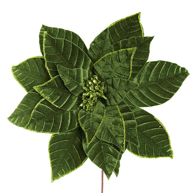 Velvet Poinsettia Stem Olive Green (34cmDx50cmH)