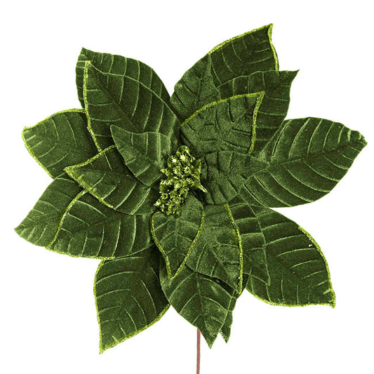 Velvet Poinsettia Stem Olive Green (34cmDx50cmH)