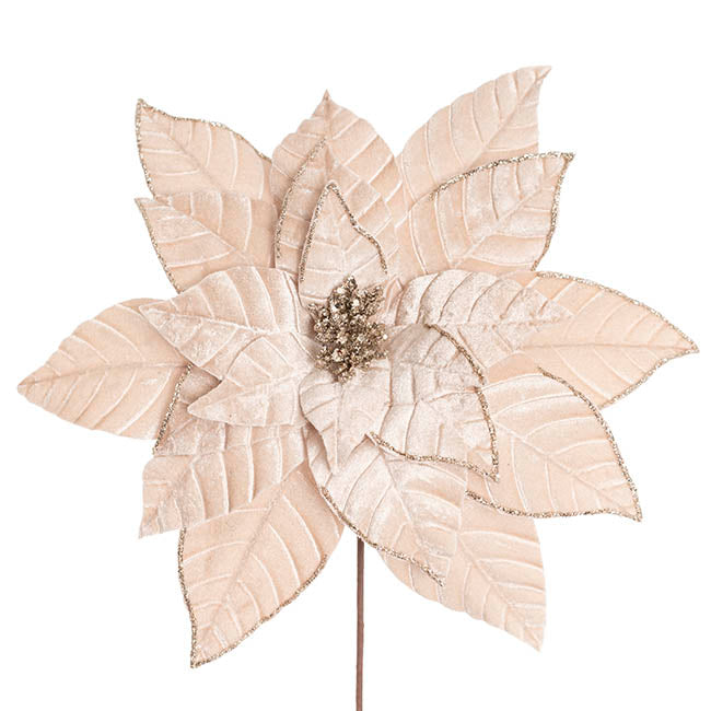 Velvet Poinsettia Stem Ivory (34cmDx50cmH)
