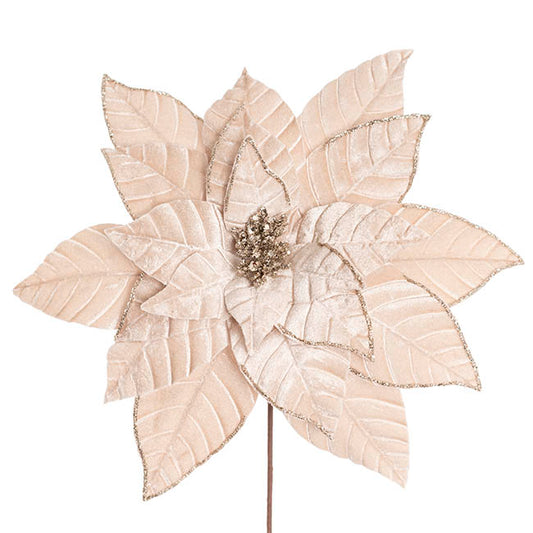 Velvet Poinsettia Stem Ivory (34cmDx50cmH)