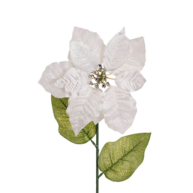 Poinsettia Long Stem White (22cmDx65cmH)