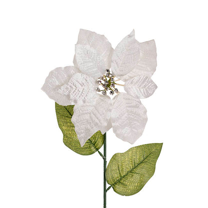 Poinsettia Long Stem White (22cmDx65cmH)