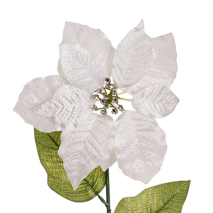 Poinsettia Long Stem White (22cmDx65cmH)