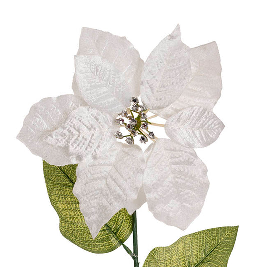 Poinsettia Long Stem White (22cmDx65cmH)