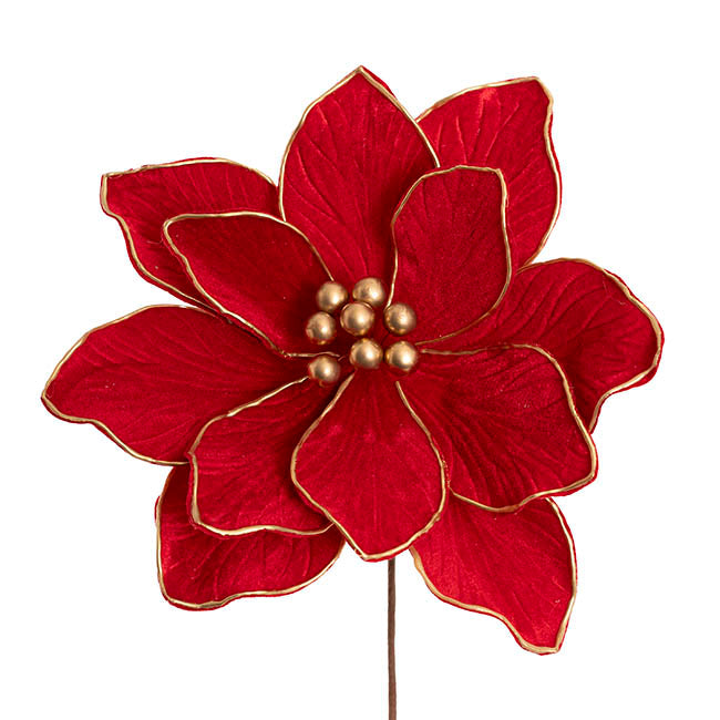 Velvet Poinsettia Stem Dark Red (30cmDx30cmH)