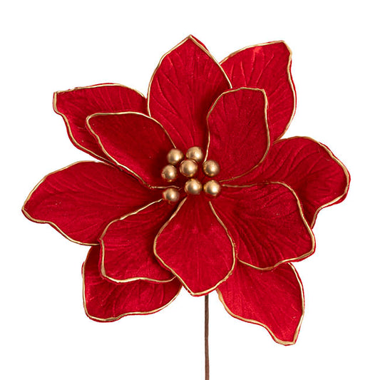 Velvet Poinsettia Stem Dark Red (30cmDx30cmH)