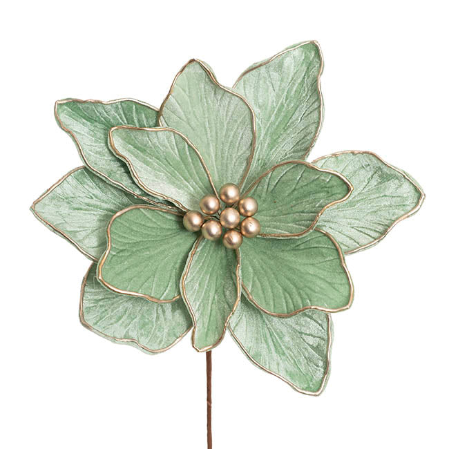 Velvet Poinsettia Stem Soft Green (30cmDx30cmH)