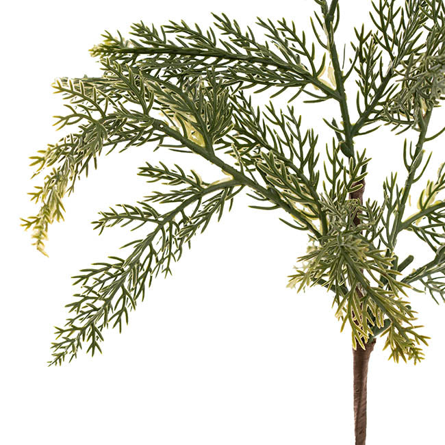 Cypress Pine Spray Real Touch Green (36cmH)