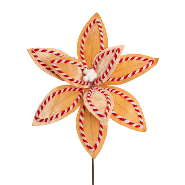 Ginger Swirl Poinsettia Stem Brown (36cmDx50cmH)