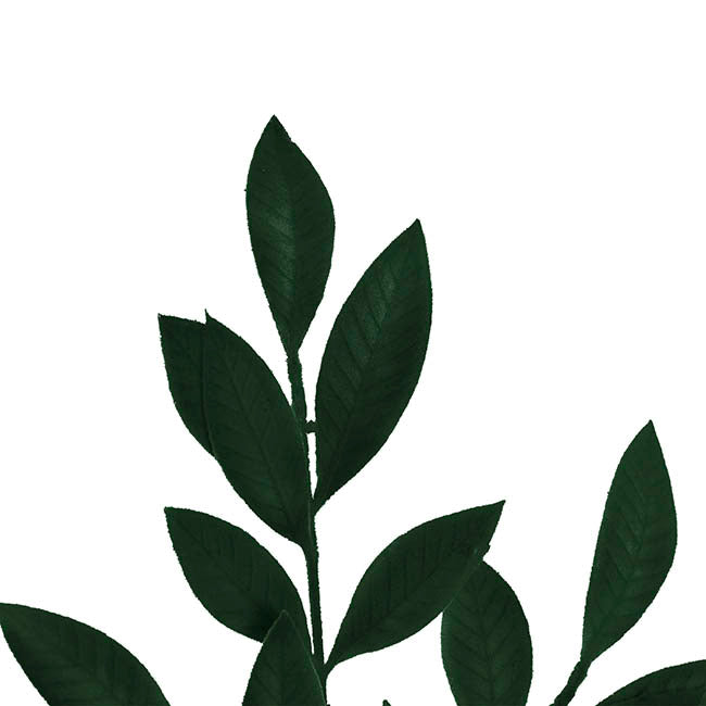 Flocked Ficus Leaf Spray Green (70cmH)