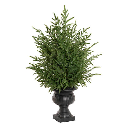 Potted Norway Spruce Pine Tree Green (81cmH)