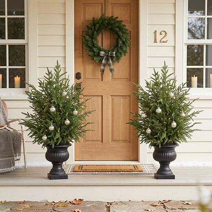 Potted Norway Spruce Pine Tree Green (81cmH)