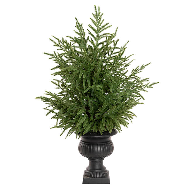 Potted Norway Spruce Pine Tree Green (81cmH)