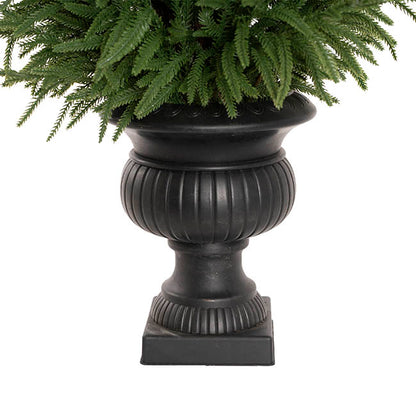 Potted Norway Spruce Pine Tree Green (81cmH)