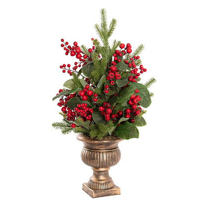 Potted Gumnut Berry Pine Tree Green (76cmH)